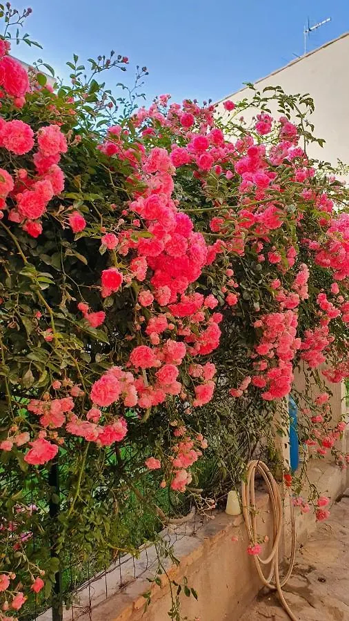 4 Stagioni Bed & Breakfast Villasimius